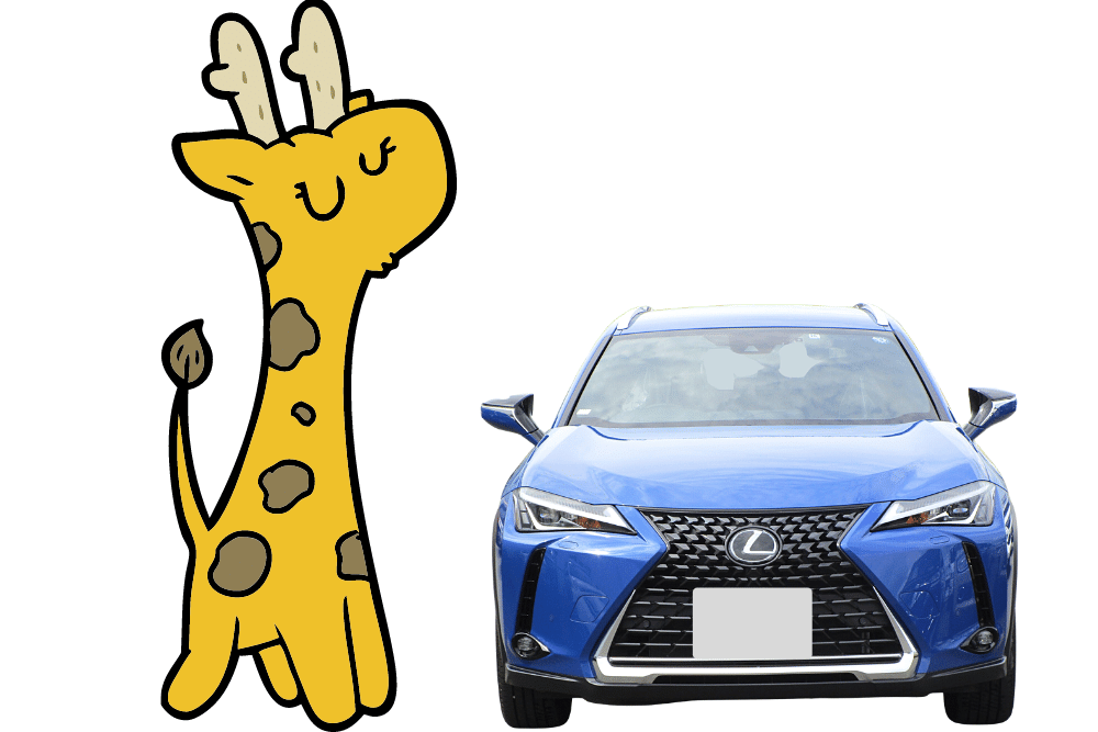 f:id:MORIKO:20210718132535p:plain