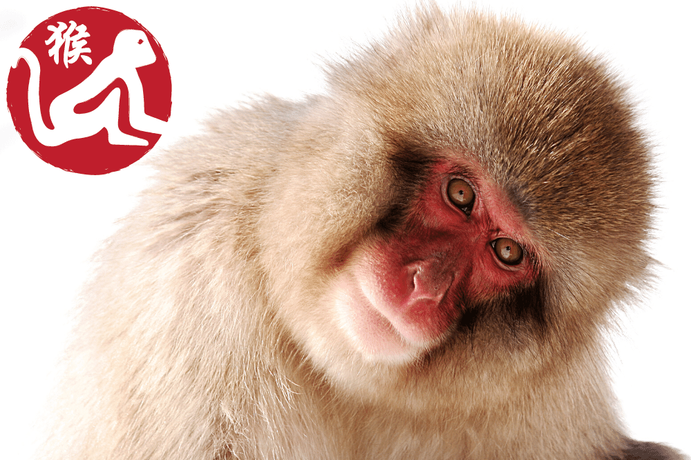 f:id:MORIKO:20210722191112p:plain