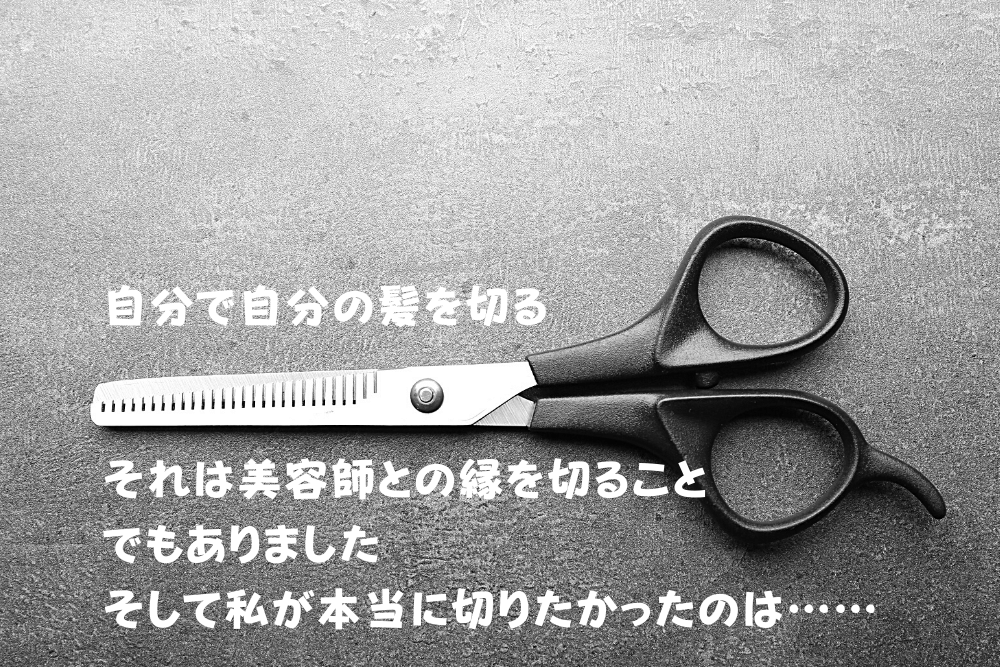 f:id:MORIKO:20210724200218p:plain