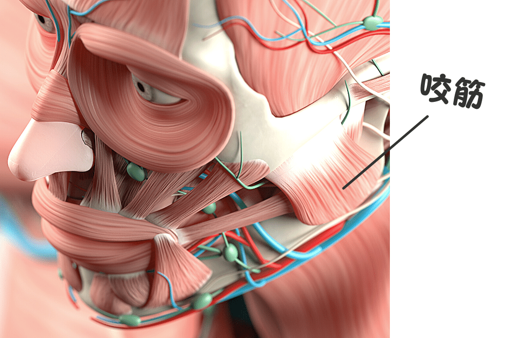 f:id:MORIKO:20210726215324p:plain