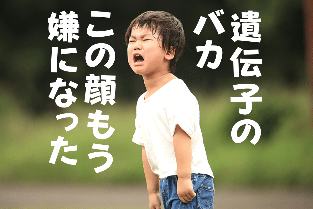 f:id:MORIKO:20210823212105p:plain