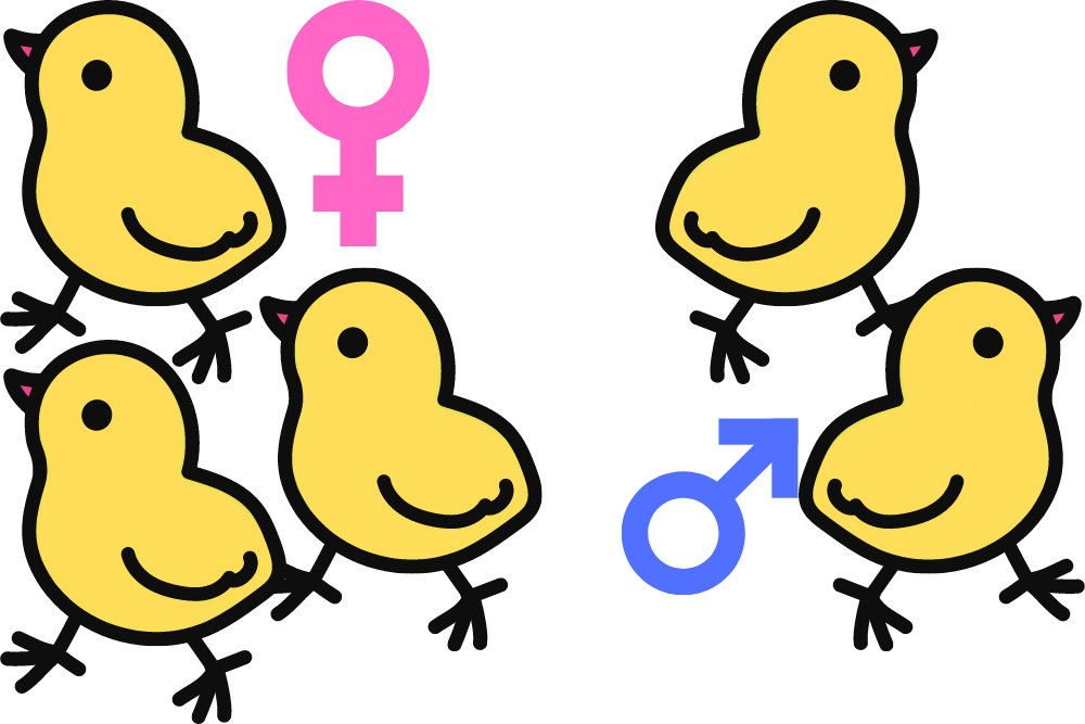 f:id:MORIKO:20210910180558p:plain