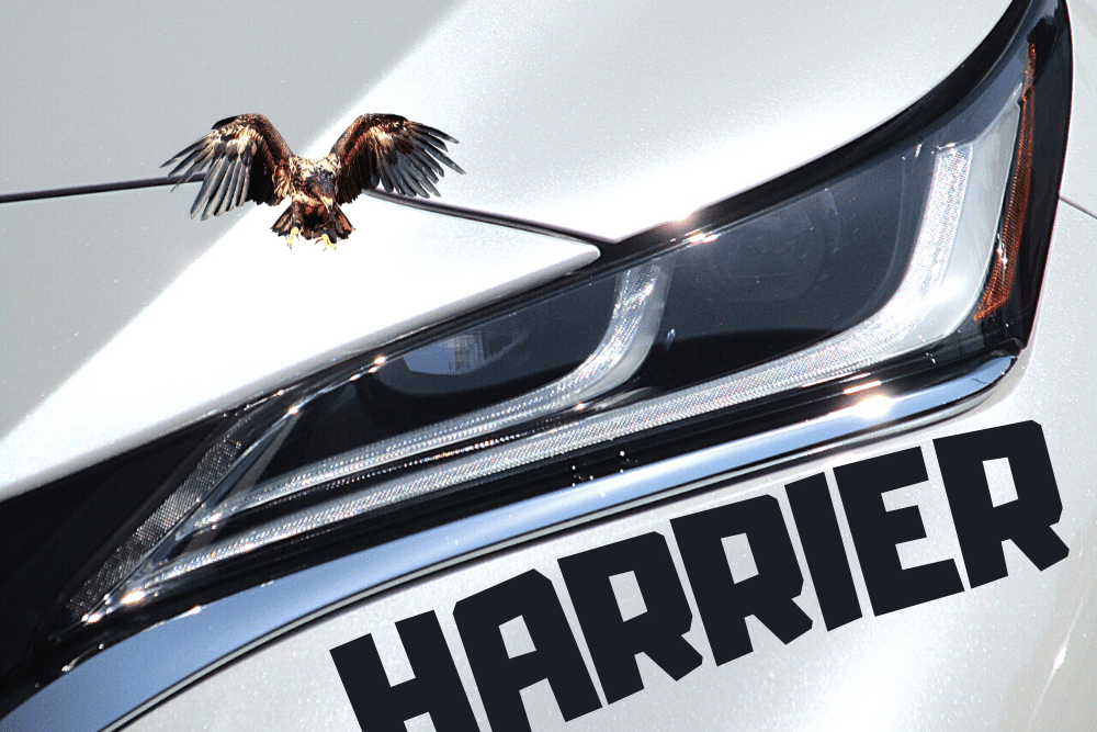 f:id:MORIKO:20211116150209p:plain