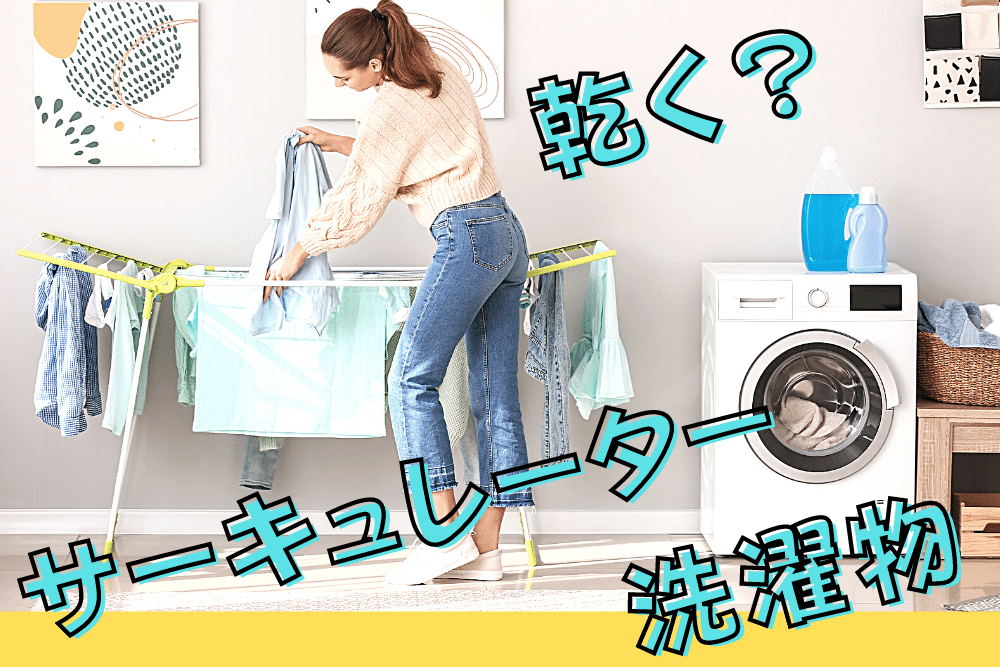 f:id:MORIKO:20211208164341p:plain