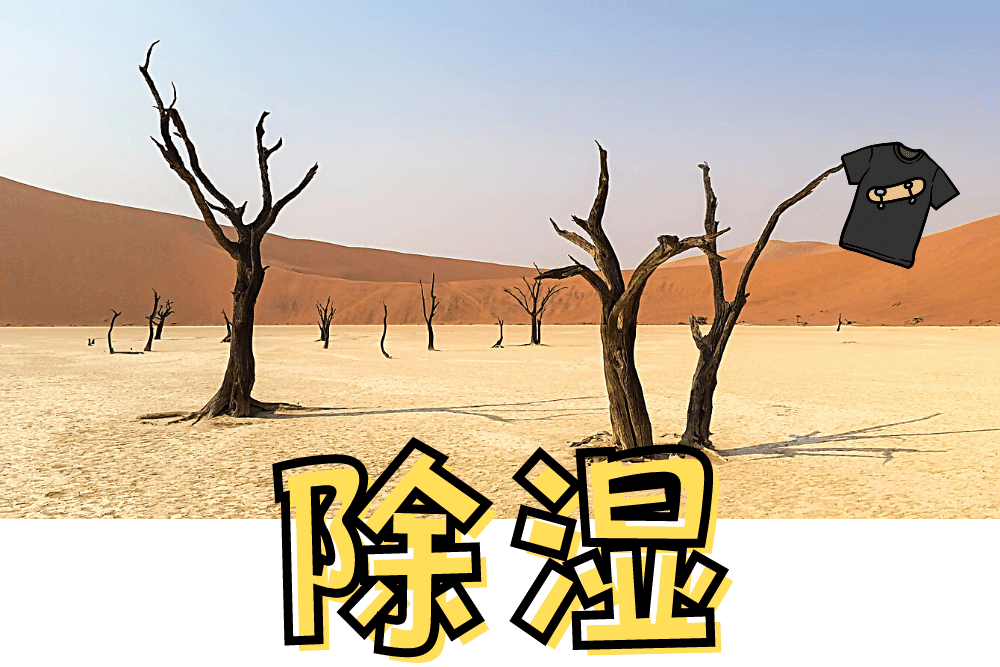 f:id:MORIKO:20211208170432p:plain