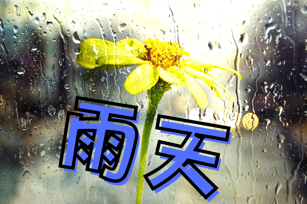 f:id:MORIKO:20220117160004p:plain