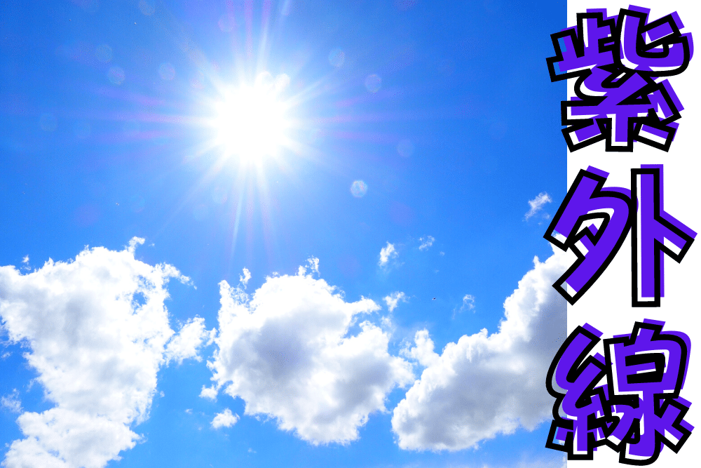 f:id:MORIKO:20220117161507p:plain