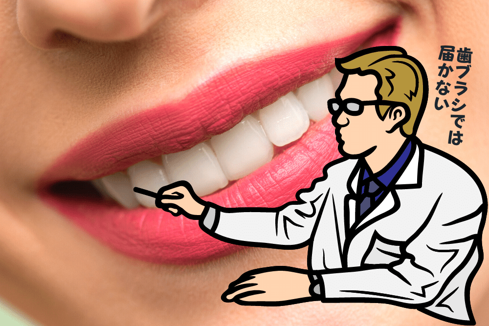 f:id:MORIKO:20220312152419p:plain