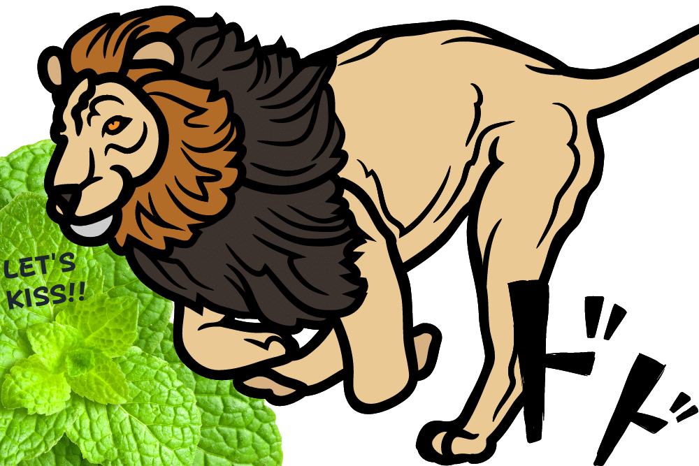 f:id:MORIKO:20220312161330p:plain