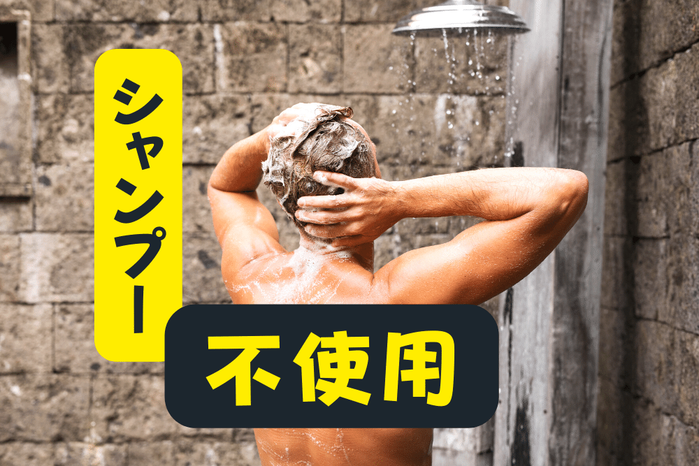 f:id:MORIKO:20220412110438p:plain