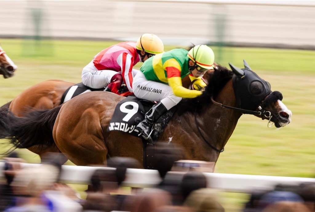 f:id:MOTo:20260802133625j:image f:id:MOTo:20260802133625j:image