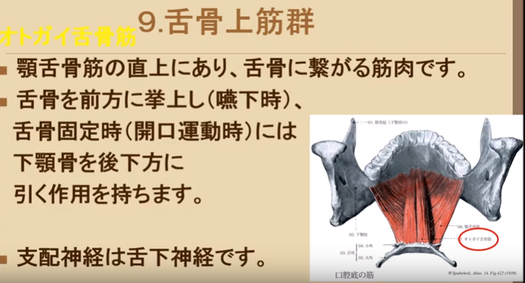 f:id:MOura:20191117022902p:plain