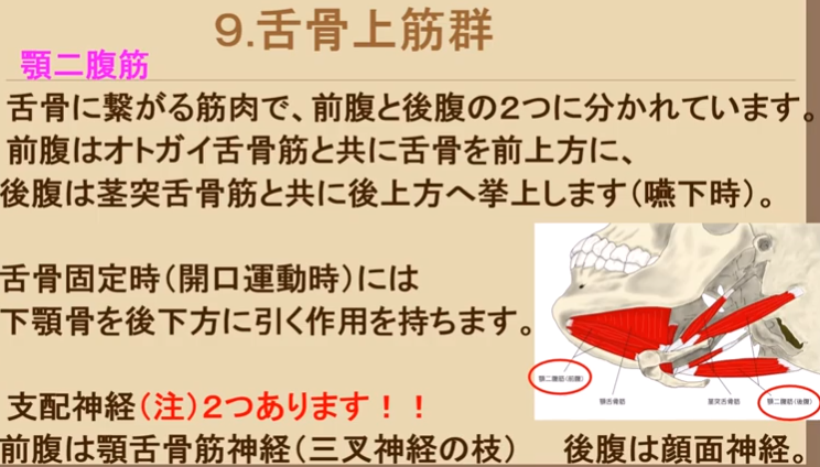 f:id:MOura:20191117023149p:plain