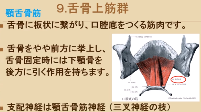 f:id:MOura:20191117023220p:plain