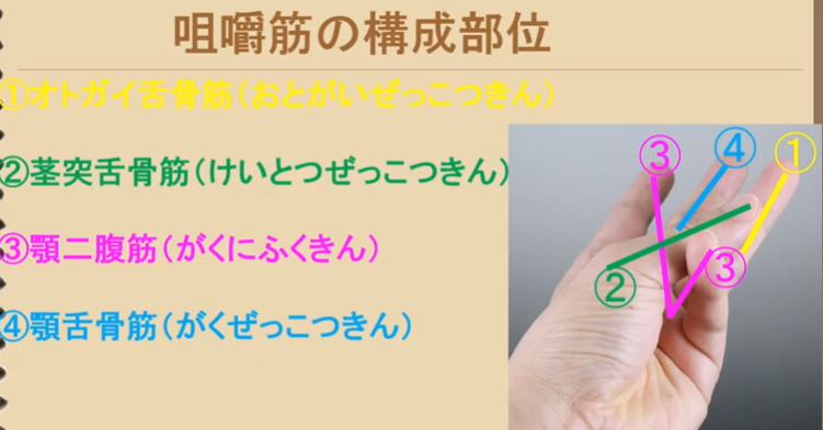 f:id:MOura:20191117023344p:plain