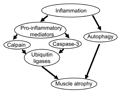 f:id:MOura:20191207134121p:plain