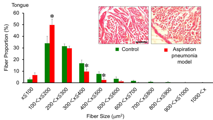f:id:MOura:20191207134425p:plain