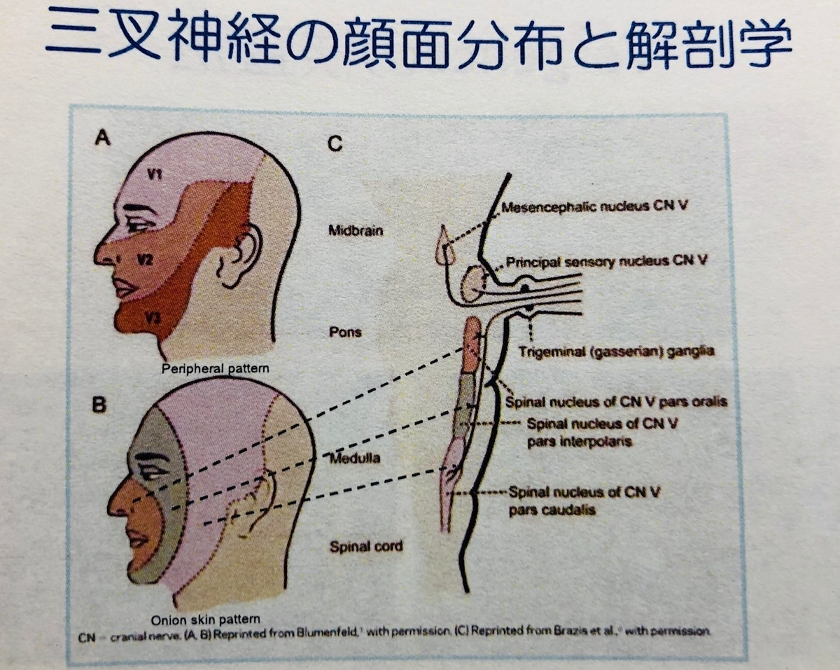 廣瀬源二郎先生の神経内科レクチャーまとめ 南砺の病院家庭医が勉強記録を始めました An Archive Of Medical Articles Summarized By A Family Physician From Nanto Municipal Hospital 廣瀬源二郎先生の神経内科レクチャーまとめ 南砺の病院家庭医が勉強記録を始めました An Archive Of Medical Articles Summarized By A Family Physician From Nanto Municipal Hospital