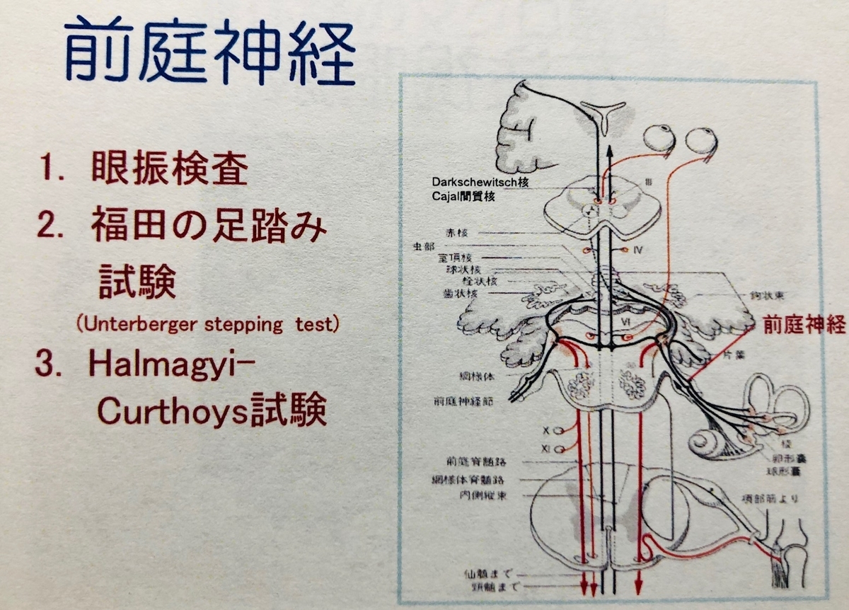 廣瀬源二郎先生の神経内科レクチャーまとめ 南砺の病院家庭医が勉強記録を始めました An Archive Of Medical Articles Summarized By A Family Physician From Nanto Municipal Hospital 廣瀬源二郎先生の神経内科レクチャーまとめ 南砺の病院家庭医が勉強記録を始めました An Archive Of Medical Articles Summarized By A Family Physician From Nanto Municipal Hospital