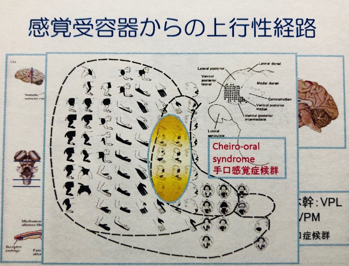 f:id:MOura:20191214052754j:plain f:id:MOura:20191214052754j:plain