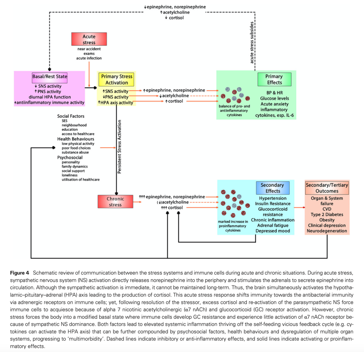 f:id:MOura:20200607033616p:plain