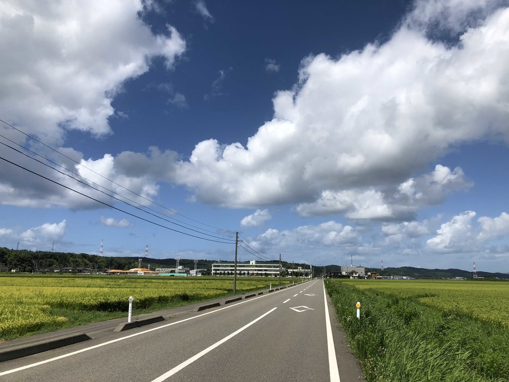 f:id:MRStar:20181231225021j:plain