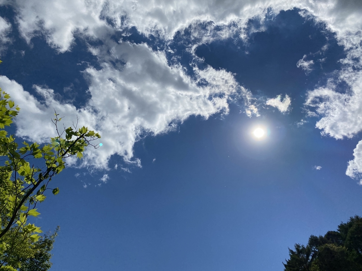 f:id:MRStar:20210629013314j:plain