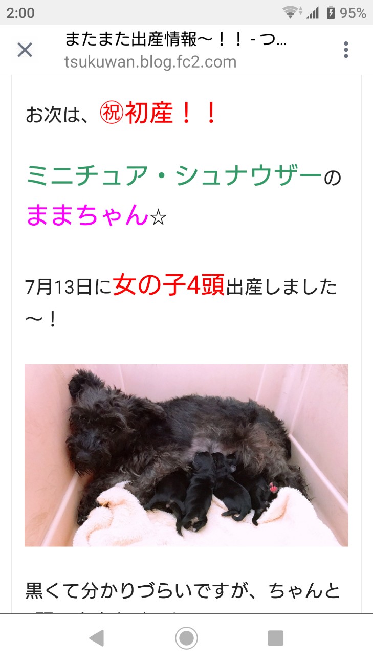 f:id:MS84akn:20190912020257j:image