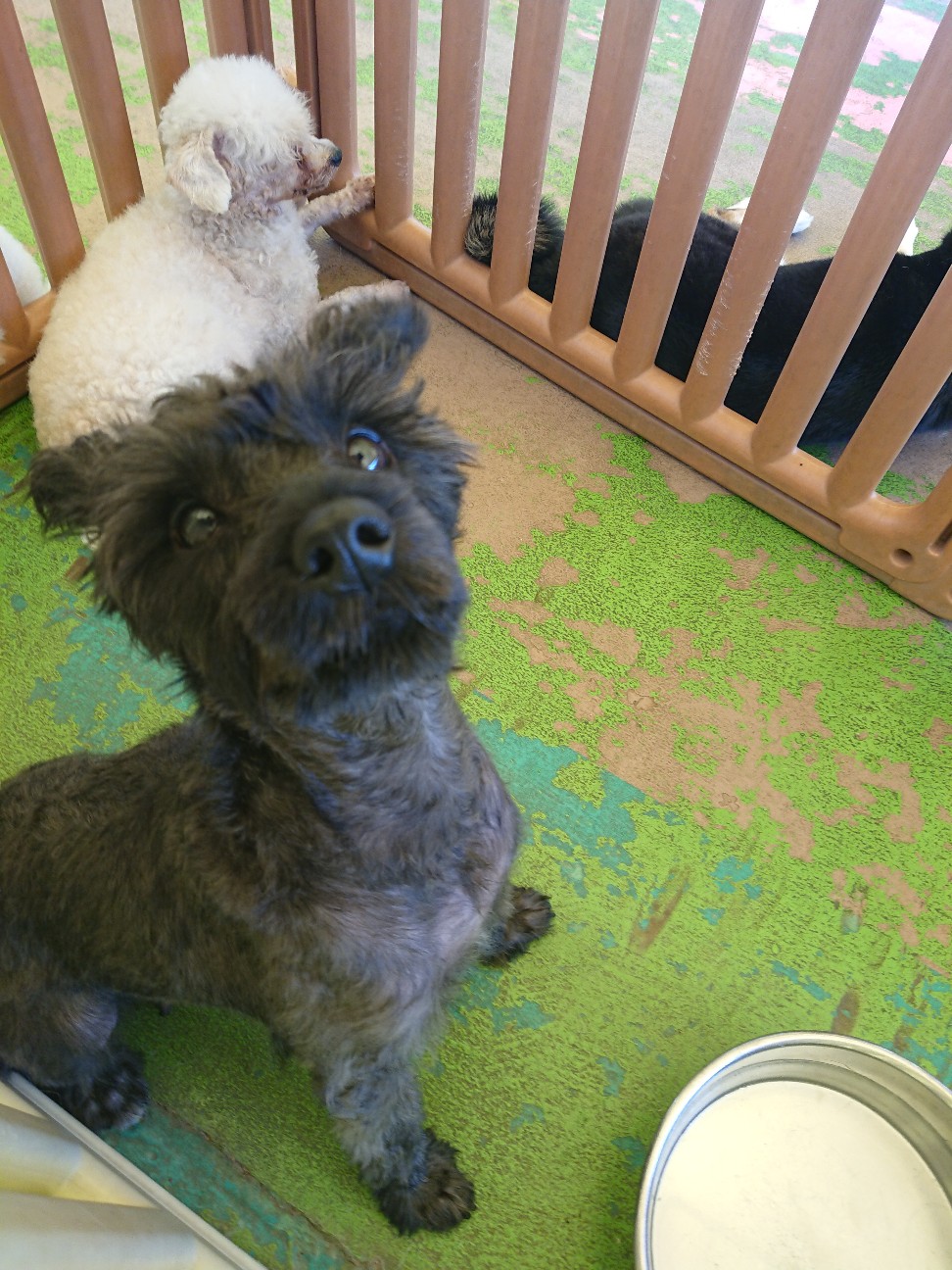 f:id:MS84akn:20190912021912j:image