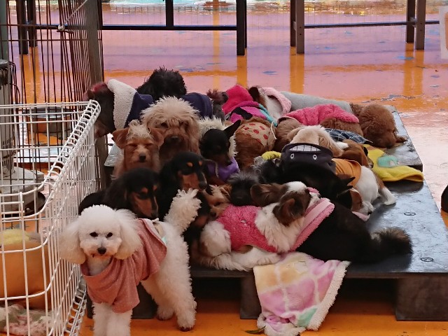 f:id:MS84akn:20200531194537j:image