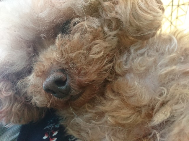 f:id:MS84akn:20200531194604j:image