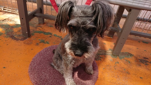 f:id:MS84akn:20200531203349j:image