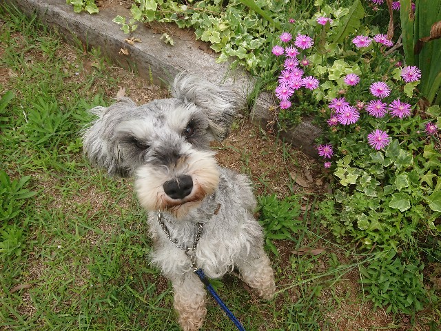 f:id:MS84akn:20200531205805j:image