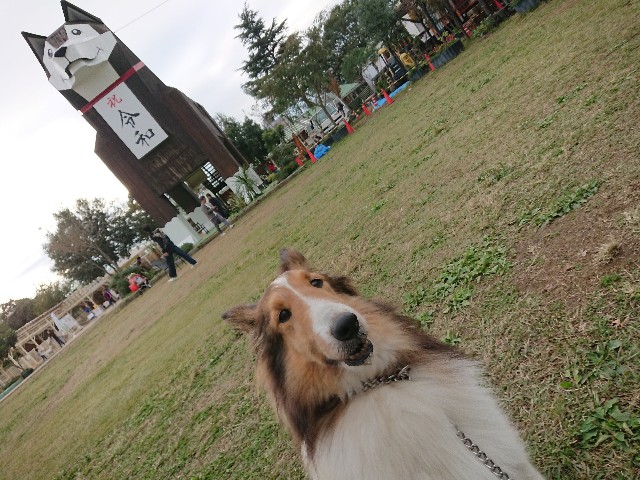 f:id:MS84akn:20200609220828j:image