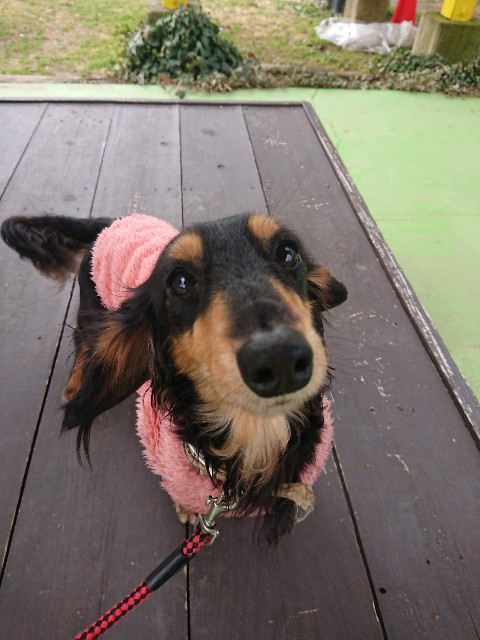 f:id:MS84akn:20200609221657j:image