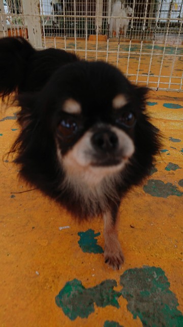 f:id:MS84akn:20200609222218j:image