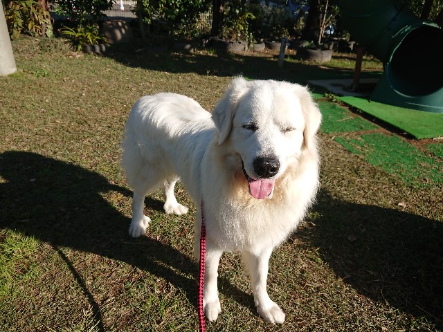 f:id:MS84akn:20200609223655j:image