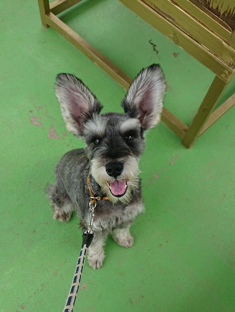 f:id:MS84akn:20200609224855j:image