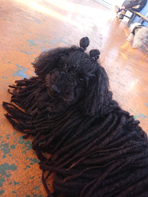 f:id:MS84akn:20200703234702j:image