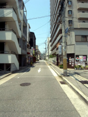 f:id:MSHIBATA:20100612014443j:image:left f:id:MSHIBATA:20100612014443j:image:left