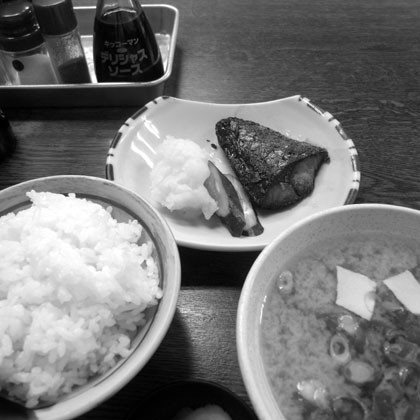 f:id:MSHIBATA:20100616211033j:image