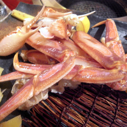 f:id:MSHIBATA:20100620114102j:image f:id:MSHIBATA:20100620114102j:image