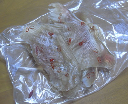 f:id:MSHIBATA:20100901061047j:image