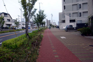 f:id:MSHIBATA:20101002232607j:image:left f:id:MSHIBATA:20101002232607j:image:left