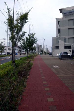 f:id:MSHIBATA:20101002232751j:image:left f:id:MSHIBATA:20101002232751j:image:left