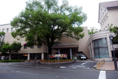f:id:MSHIBATA:20101010150409j:image:right