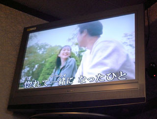 f:id:MSHIBATA:20101102195258j:image