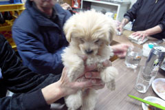 f:id:MSHIBATA:20101115235740j:image:left