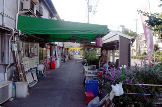 f:id:MSHIBATA:20101208060544j:image