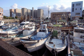 f:id:MSHIBATA:20101227061033j:image